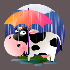 Cow standing in the rain with an umbrella
