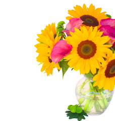 Obraz premium one bight sunflower