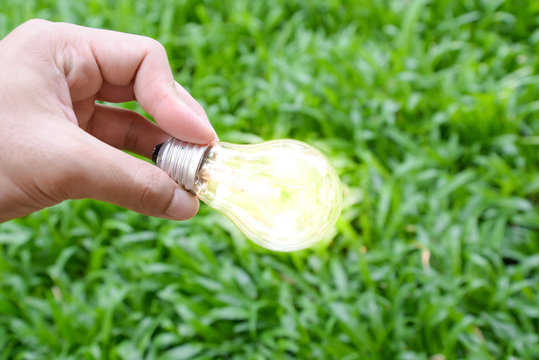 Hand hold incandescent bulb with lighting