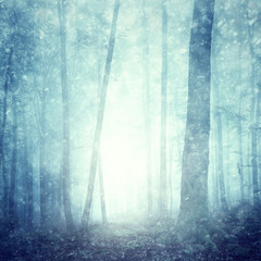 Fototapeta premium Dreamy snowfall in magical blue colored foggy forest. Beautiful Christmas and New Year Holiday winter snowy forest landscape. Heavy snowfall in magic foggy forest.