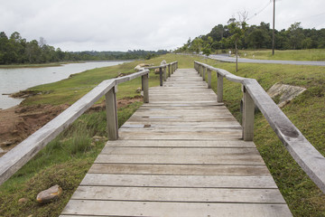 Wooden walkway in the field