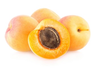 Apricot