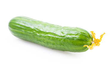 Cucumbers