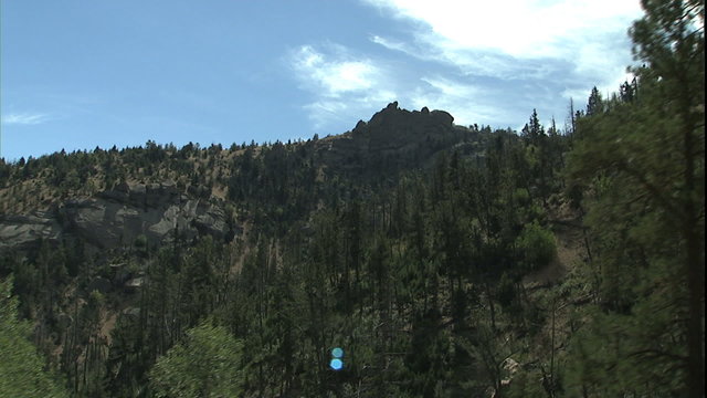 POV mtn ridge thru trees