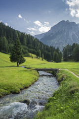 Austrian landscape with alps on background - 91850205