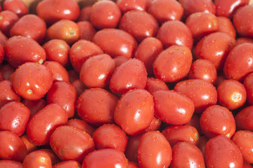 Group of Healthy ripe red tomatoes background