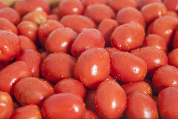 Group of Healthy ripe red tomatoes background