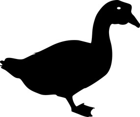 silhouette goose
