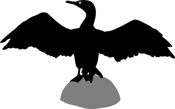 recommend clip art: silhouette of cormorant