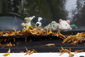 Autumnal Day. A parked van is collecting leaves as it stands parked in the rain. Autumn has started.