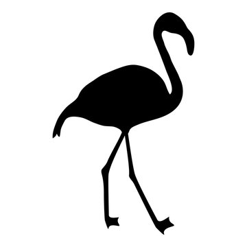 flamingo silhouette on a white background
