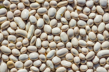 Dry bean seeds texture