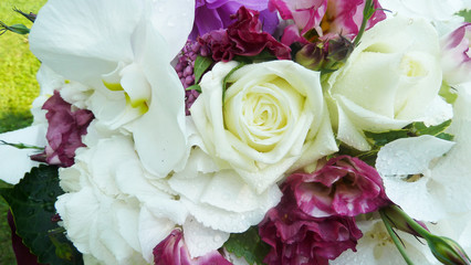 Fiori