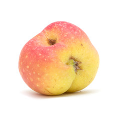 apple on a white background