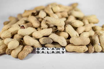 Salary text with peanuts