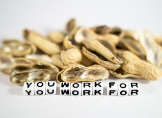 You work for text message with peanuts
