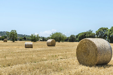 Scattered bales of straw