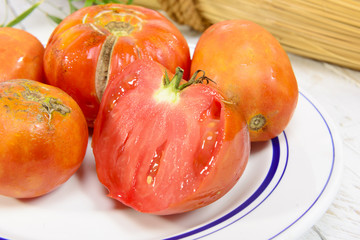 garden tomatoes on a plate