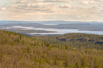Spectacular views of  valley taiga river