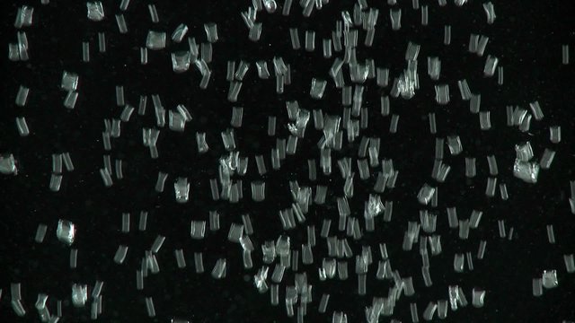 Tiny air bubbles rise against a black back-ground.