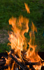 Camping bonfire in the dark