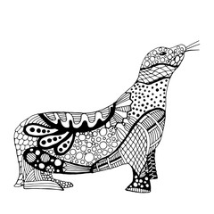 Sea lion illustration
