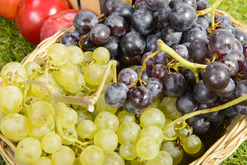 close up of white and black grapes