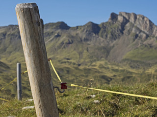 Pasture fence, Weidezaun
