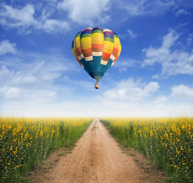 Hot Air Balloon Above Dirt Road Into Yellow Flower Fields