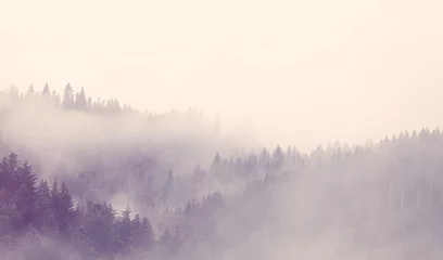 Deurstickers Mist in het bos © Masson