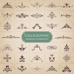 Calligraphic design elements - Vector set