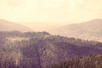 Obraz premium View on Ukrainian Carpathian mountains.