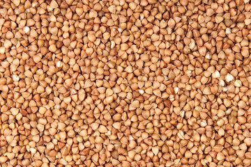 buckwheat;