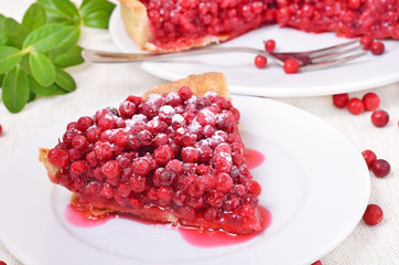 Piece of cowberry pie and  powdered sugar on white plate
