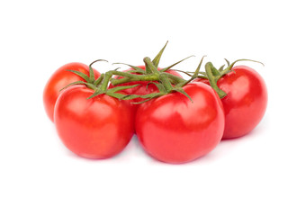 Branch of  tomatoes