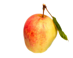 Half red apple
