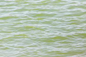 Background of the surface of the water