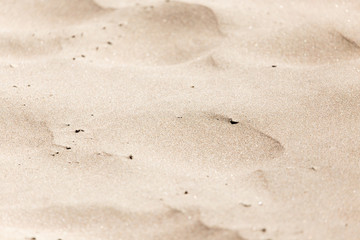 sand as a background