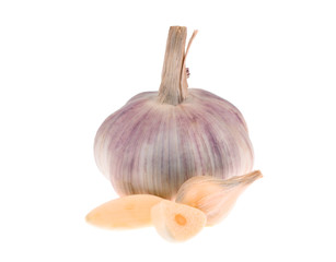 Garlic head and cloves