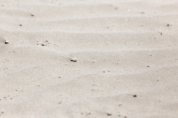sand as a background