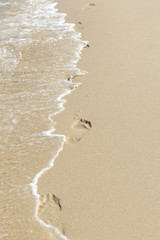 Footprints in the sand