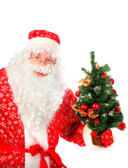 Santa Claus Portrait