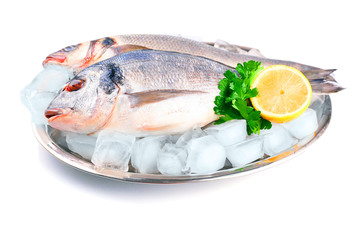 Fresh fishes with lemon and ice on metal tray isolated on white
