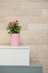 Tinny roses in pink vase on closet decorates livingroom