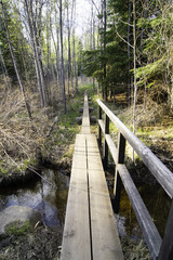 Fototapeta premium Footbridge, Benson Creek, Isle Royale National Park