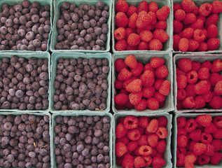 Fresh picked blueberries and raspberries in sales trays, 2015.