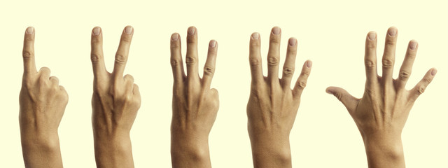 Set of hands with different numbers of fingers