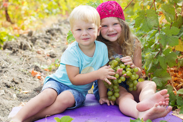 Happy child friends are eating grapes in autumn vineyard