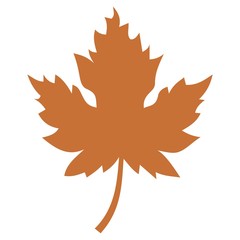 Maple leaf 