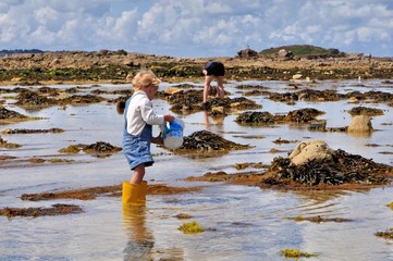 Une fillette cherche des crevettes et des crabes sur une plage